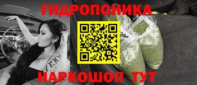 МДПВ Будённовск