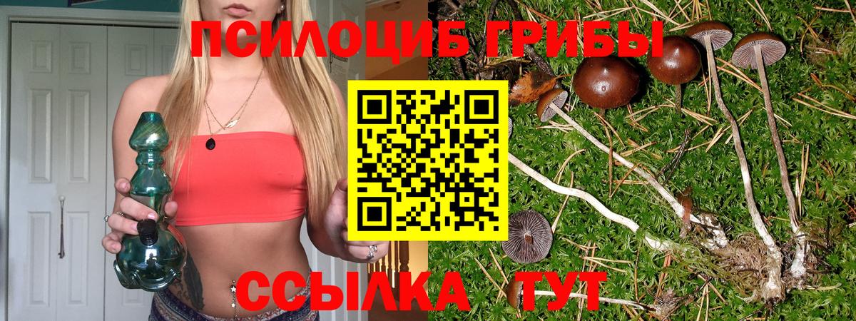 Псилоцибиновые грибы прущие грибы Мирный